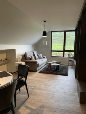 Appartements de Manon au cœur des vignes